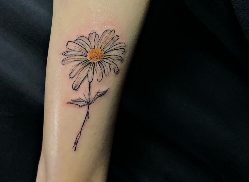 Hình Xăm Hoa Cúc Hoạ Mi Đẹp  Tattoo Hoa Cúc Mini Cute