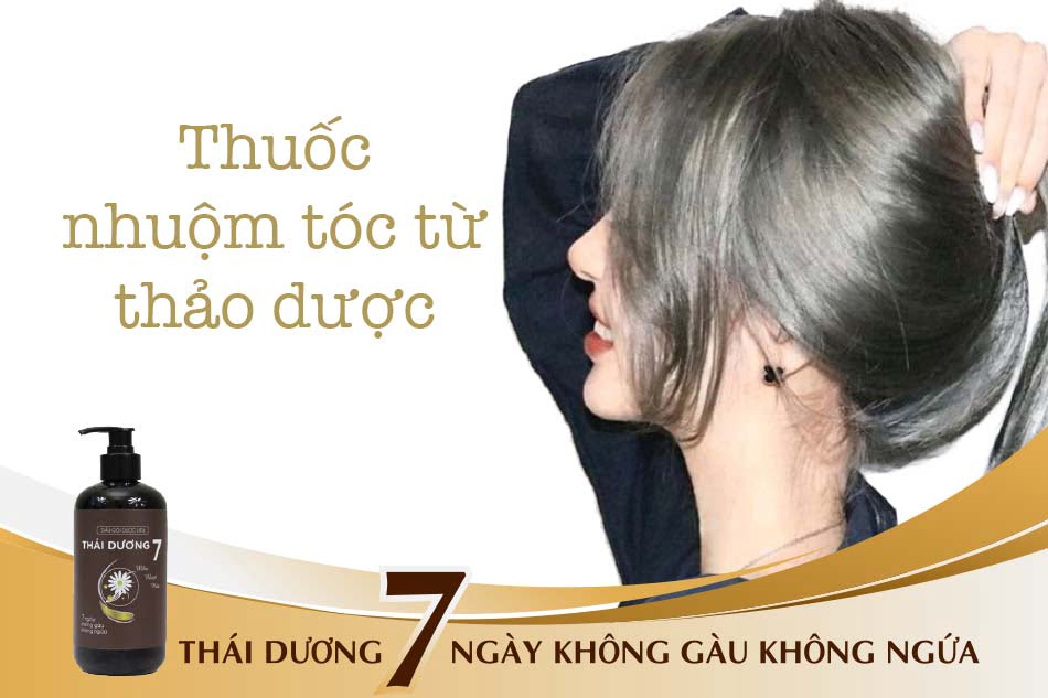 Nhuộm đen Thảo Dược Thái Dương giá rẻ Tháng 72023BigGo Việt Nam