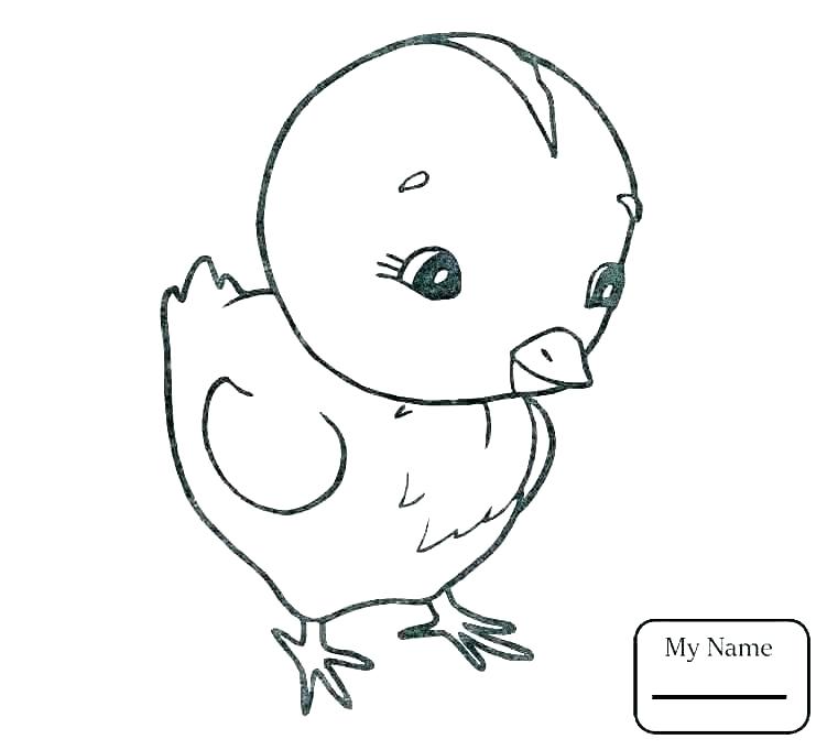 Những mẫu hình vẽ con gà trống để trẻ tham khảo