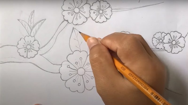 Vẽ hoa cẩm chướng đơn giản đẹp bằng bút chì  Go shopping happy