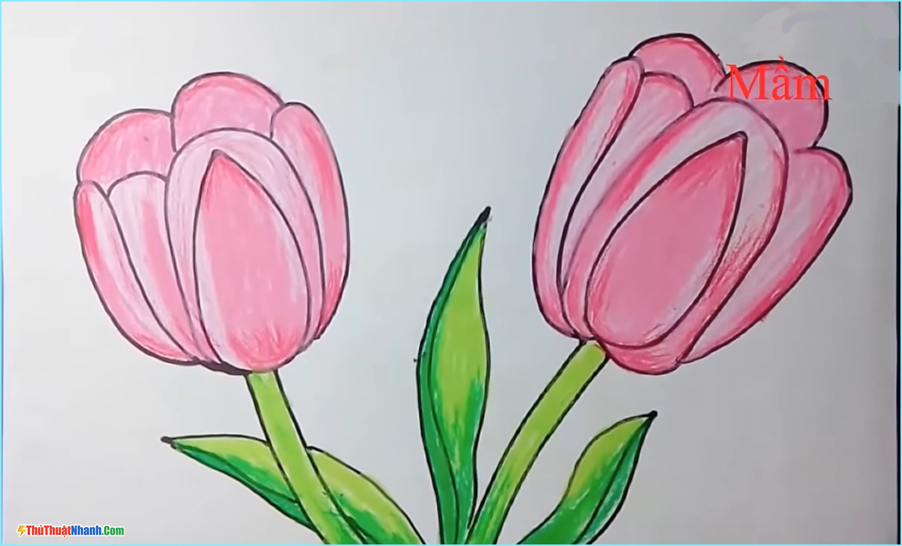 Cách vẽ hoa anh đào đơn giản  Hướng dẫn vẽ hoa anh đào bằng bút chì   YouTube